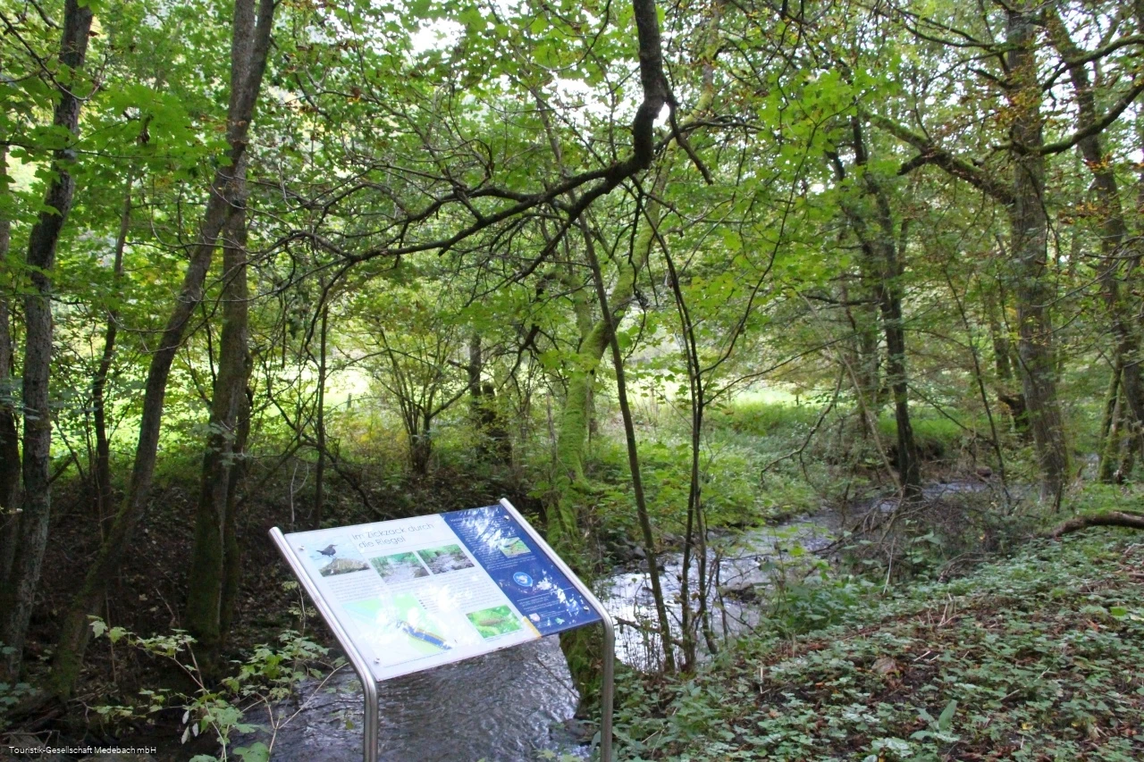Infotafel 6 am Gewässerpfad Orke