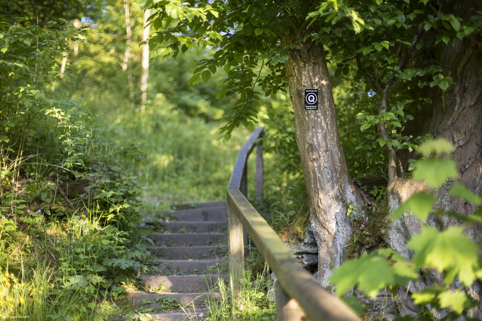 sabrinity_BWT2015_0832.jpg sabrinity_BWT2015_0832.jpg