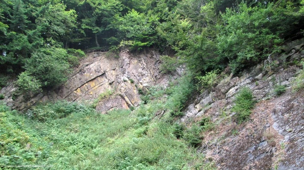 Geologischer Aufschluss - Niggenhuses Steinbruch Geologischer Aufschluss - Niggenhuses Steinbruch