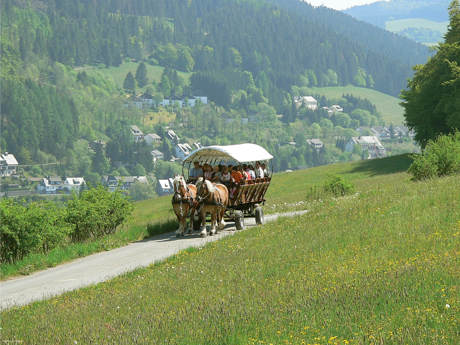 Kutschfart_Landschaft.jpg