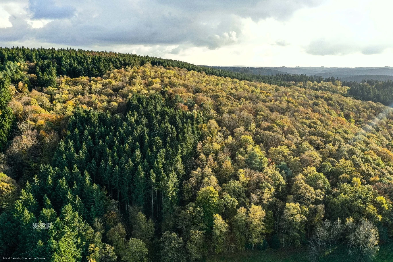 Der Sauerländer Wald ist Thema dieses Wanderweges