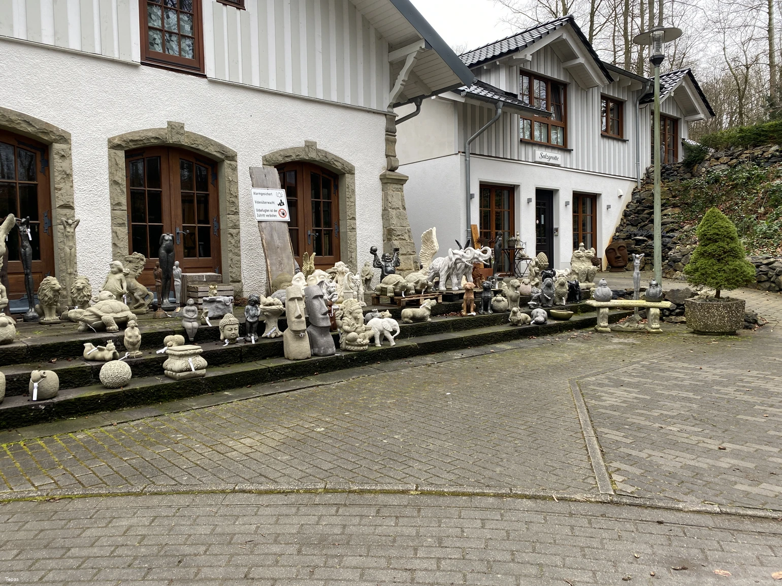 IMG_3759.JPG