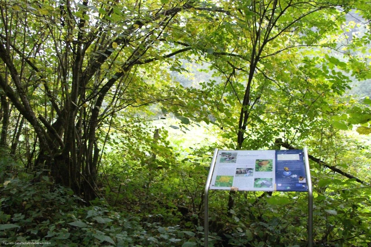 Infotafel 8 am Gewässerpfad Orke