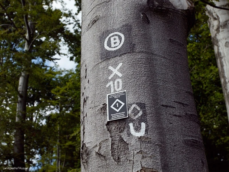 Wanderwegmarkierungen Valme