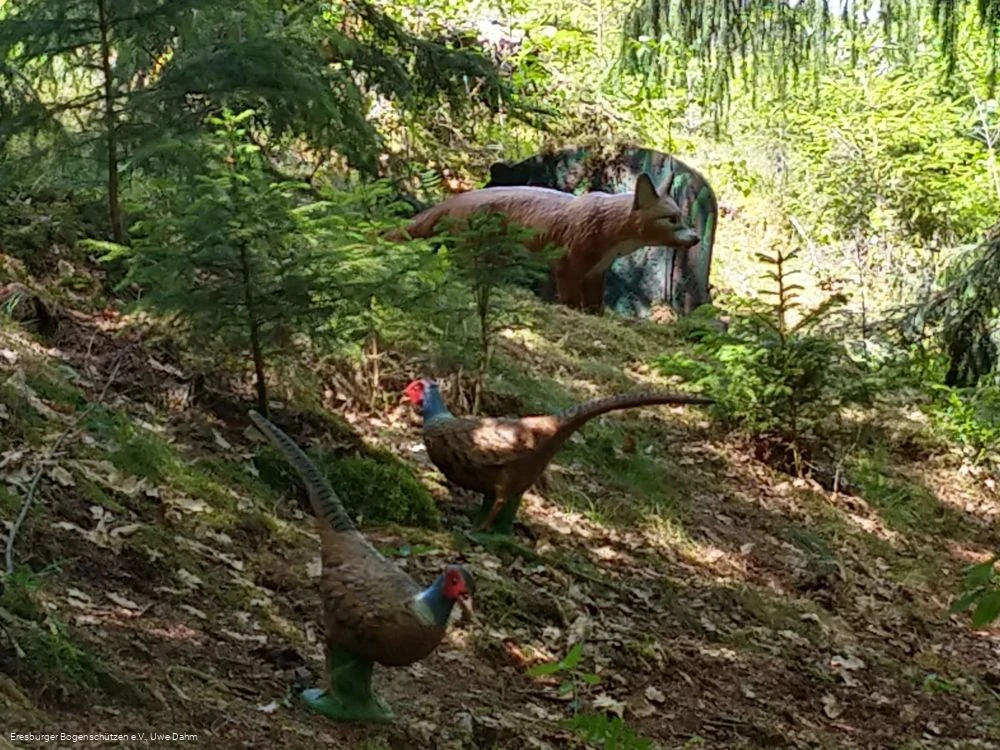 Bogenparcours Marsberg