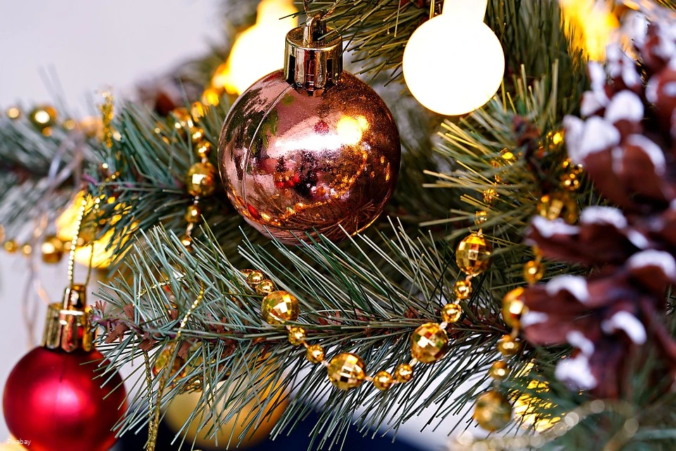 Weihnachtsbaum (c) Pixabay.jpg Weihnachtsbaum (c) Pixabay.jpg