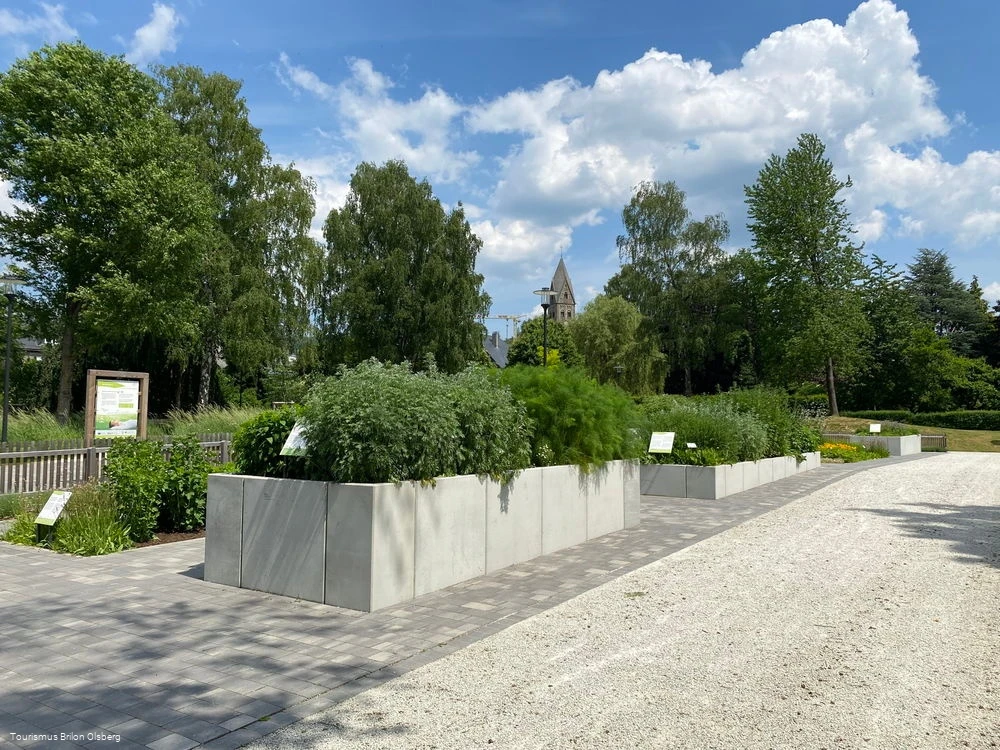 Kräutergarten Kräutergarten