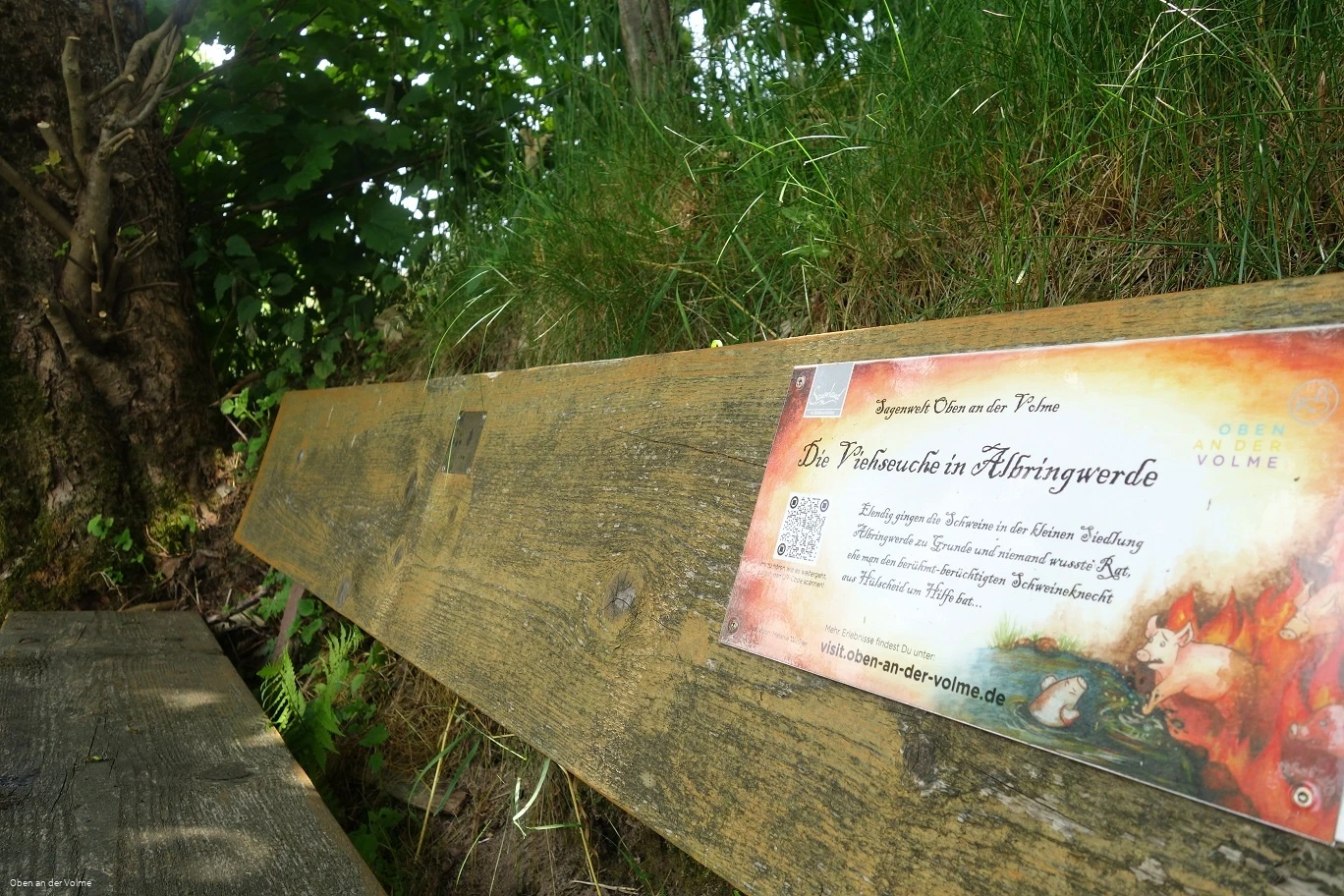 Die Plakette an der Sagenbank Die Plakette an der Sagenbank