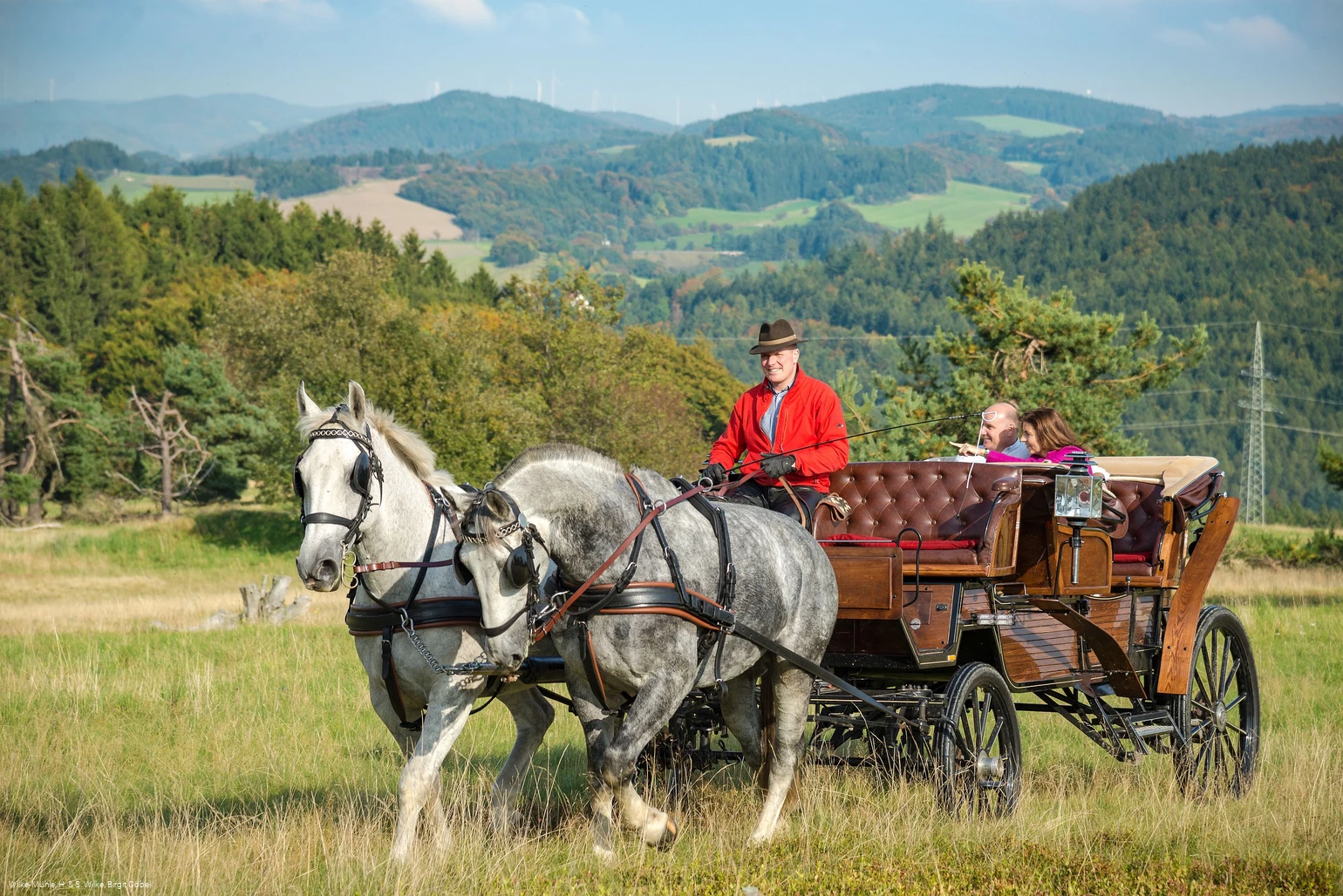 Picknickkutsche-004.JPG