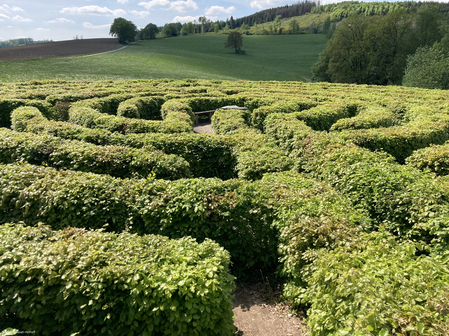 Labyrinth