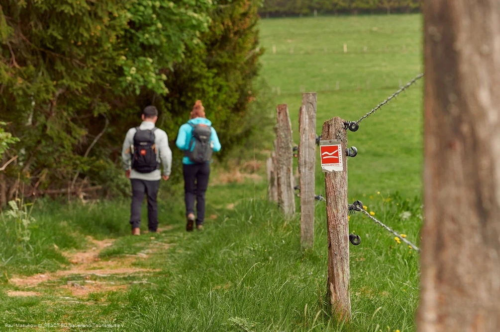 Pfad bei Küstelberg auf dem Rothaarsteig