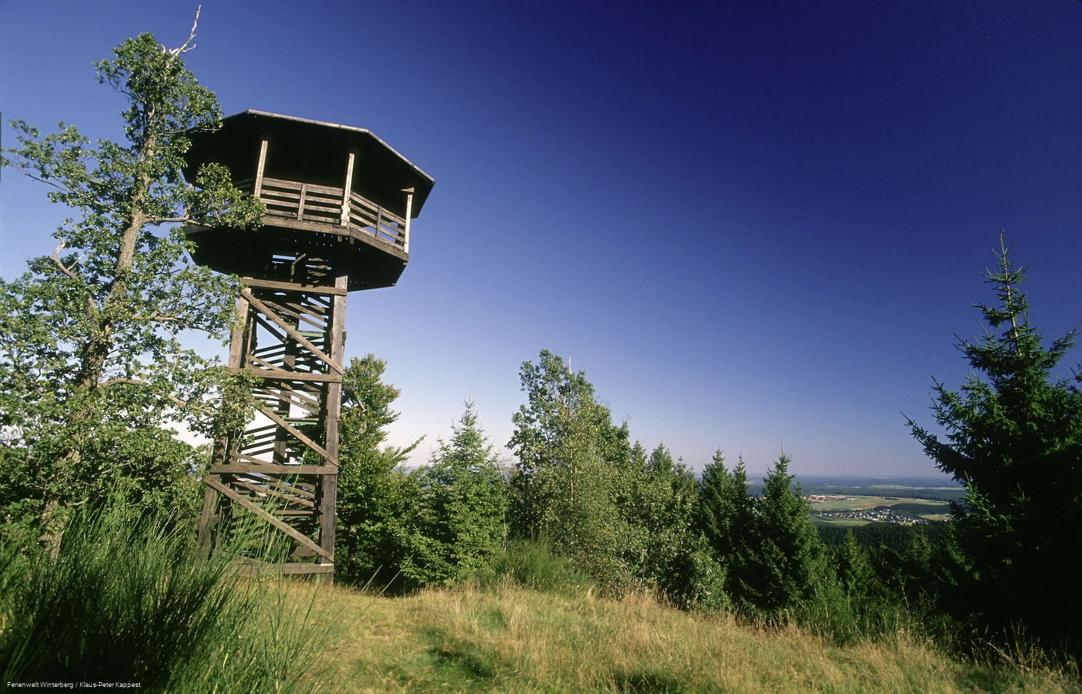 Großer Holzturm mit Dach zwischen Bäumen und Wiesen.