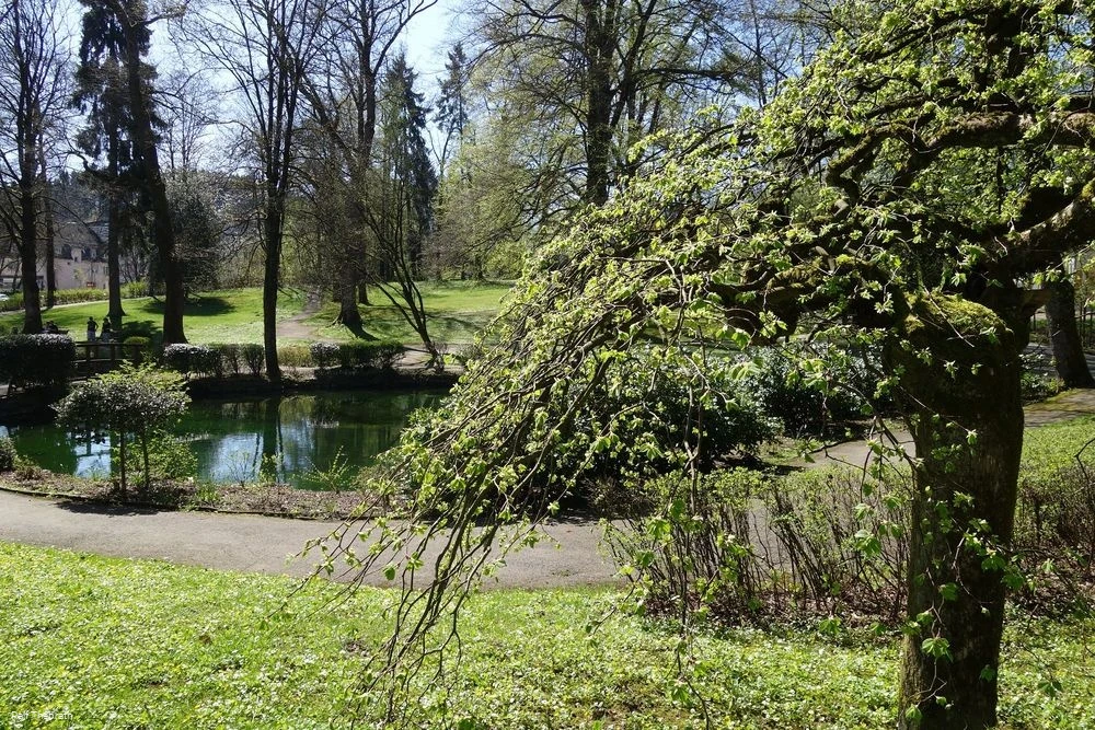 Der kleine Teich im Volkspark Meinerzhagen Der kleine Teich im Volkspark Meinerzhagen
