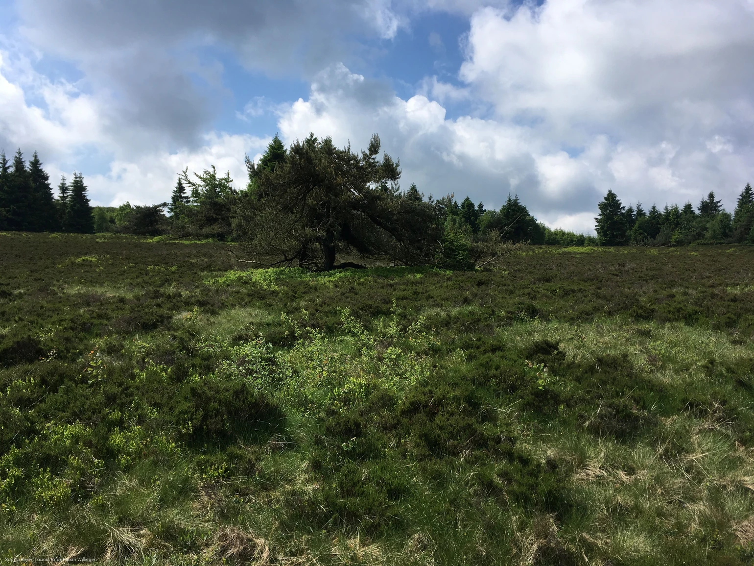 Landschaft am Wanderweg W6 