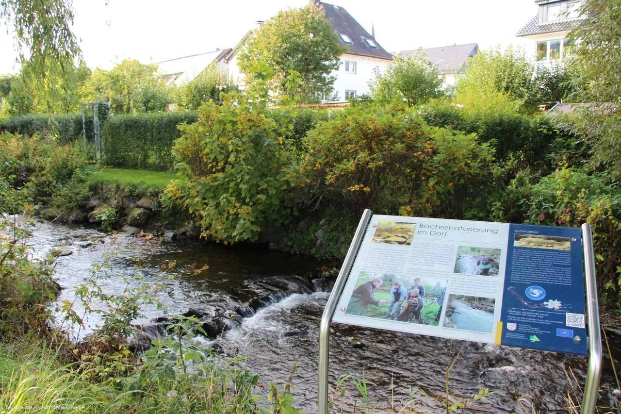 Infotafel 10 am Gewässerpfad Orke