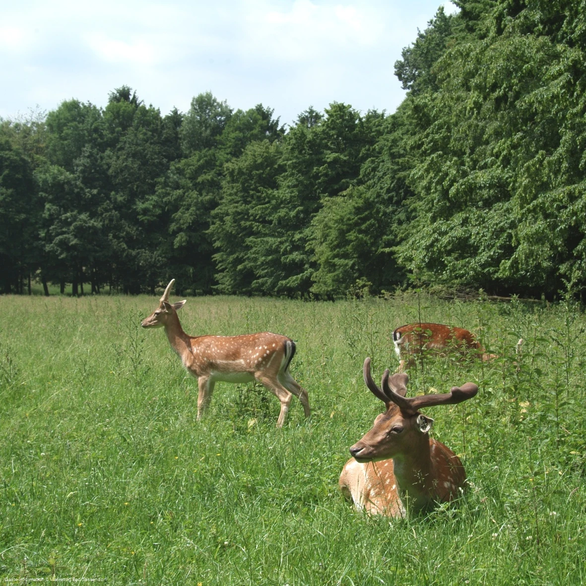 Freiherr-von-Wintzingerode-Park