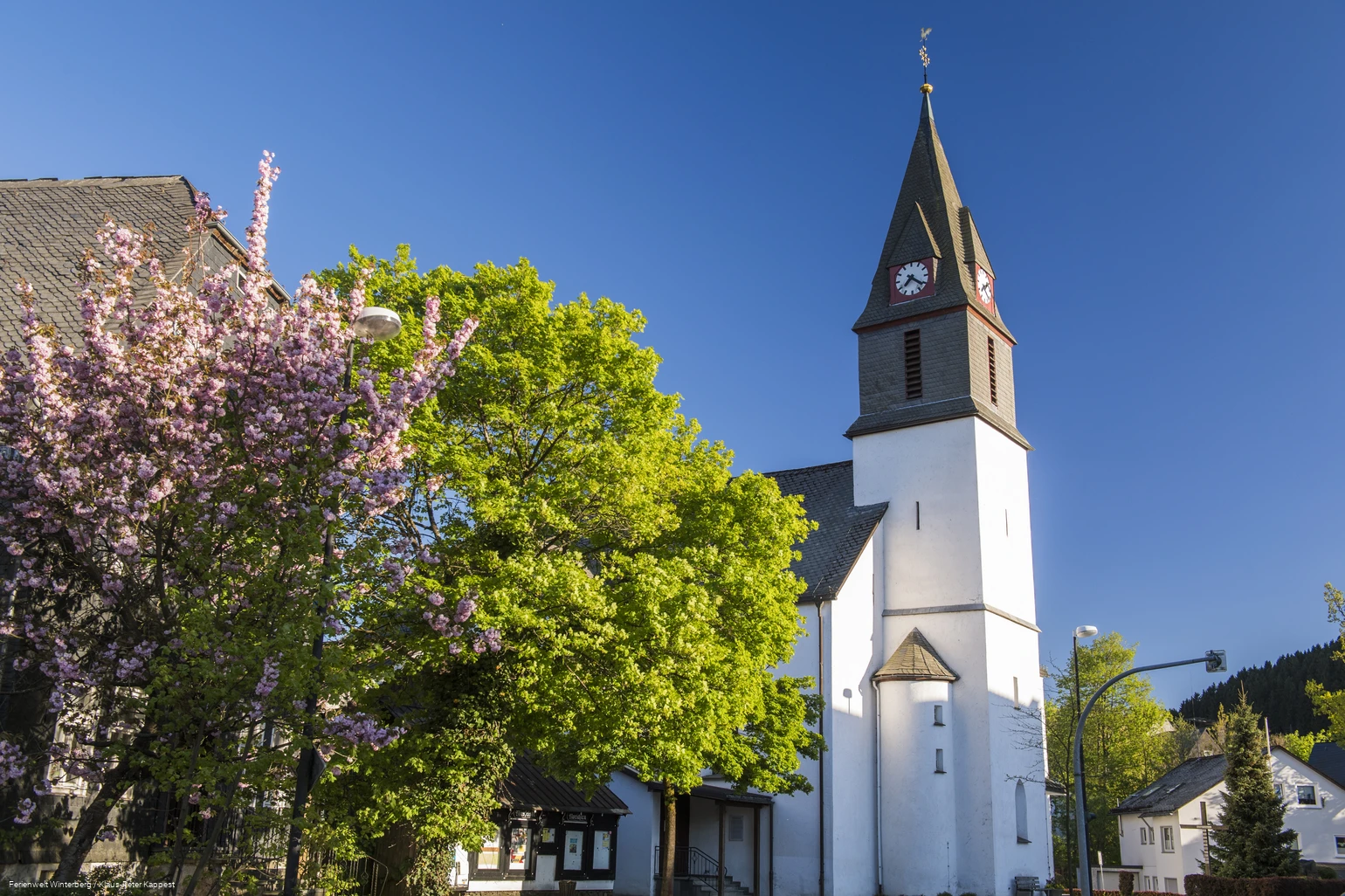 Eine Kirche umgeben von blühenden Bäumen.