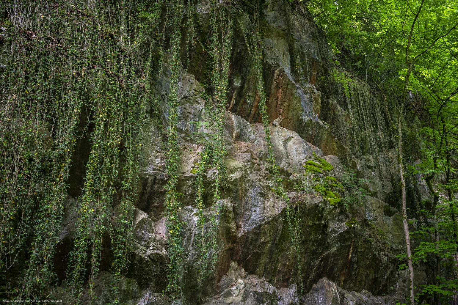 Sauerland-Seelenort: Steinbruch Peperburg
