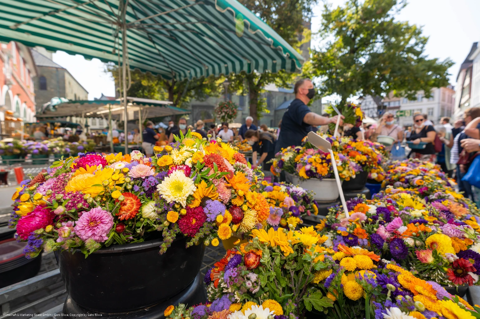 Bördebauernmarkt Bördebauernmarkt