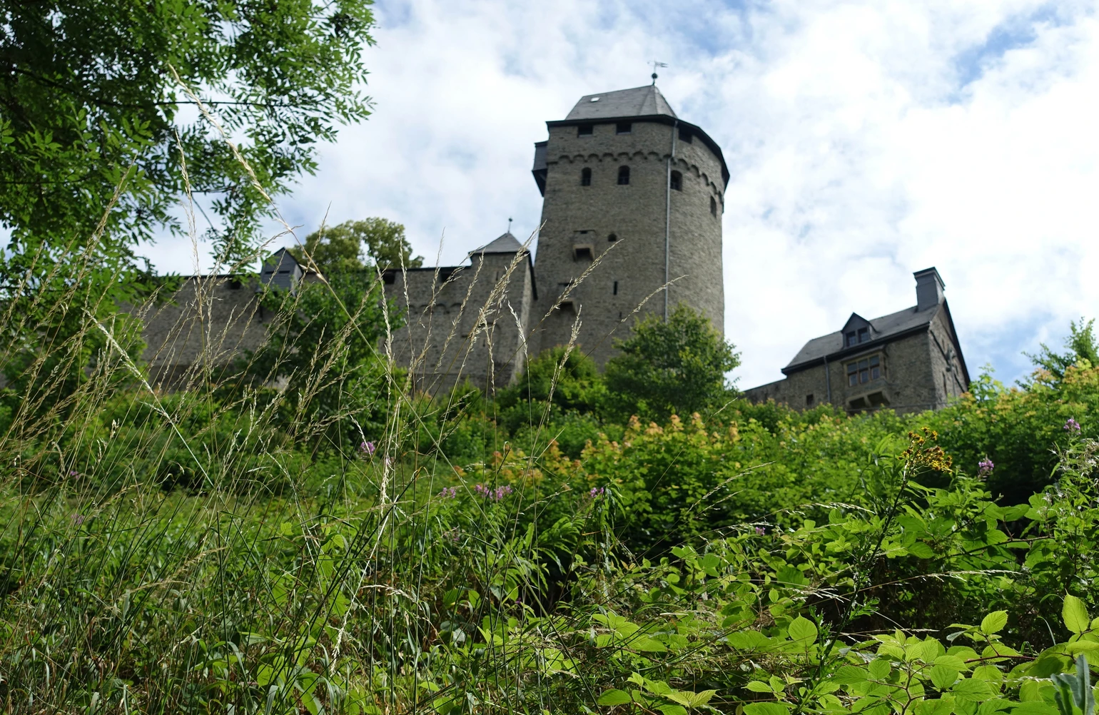 Ansicht Burgberg2022_Lange.jpg Ansicht Burgberg2022_Lange.jpg