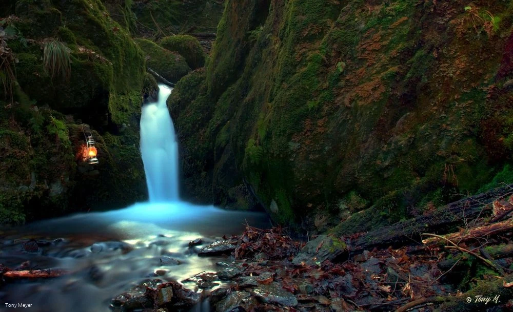 Naturschutzgebiet Bommecketal