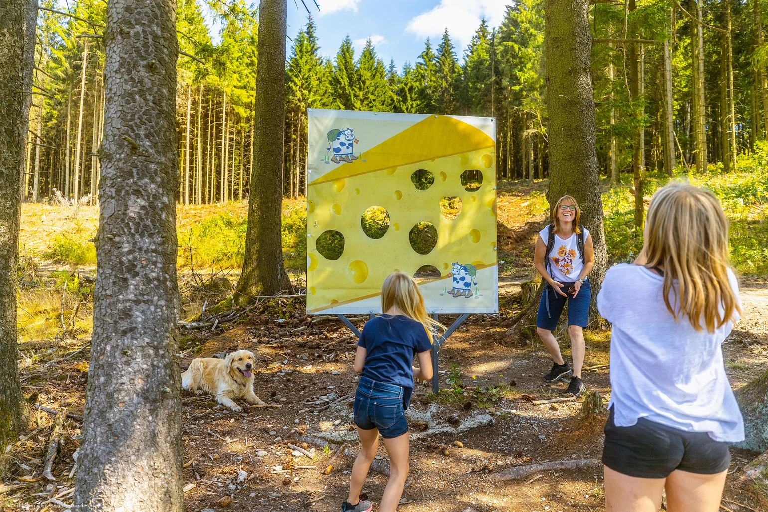 Zapfenwurf an der Käsewand am Milch-Erlebnispfad Usseln Zapfenwurf an der Käsewand am Milch-Erlebnispfad Usseln