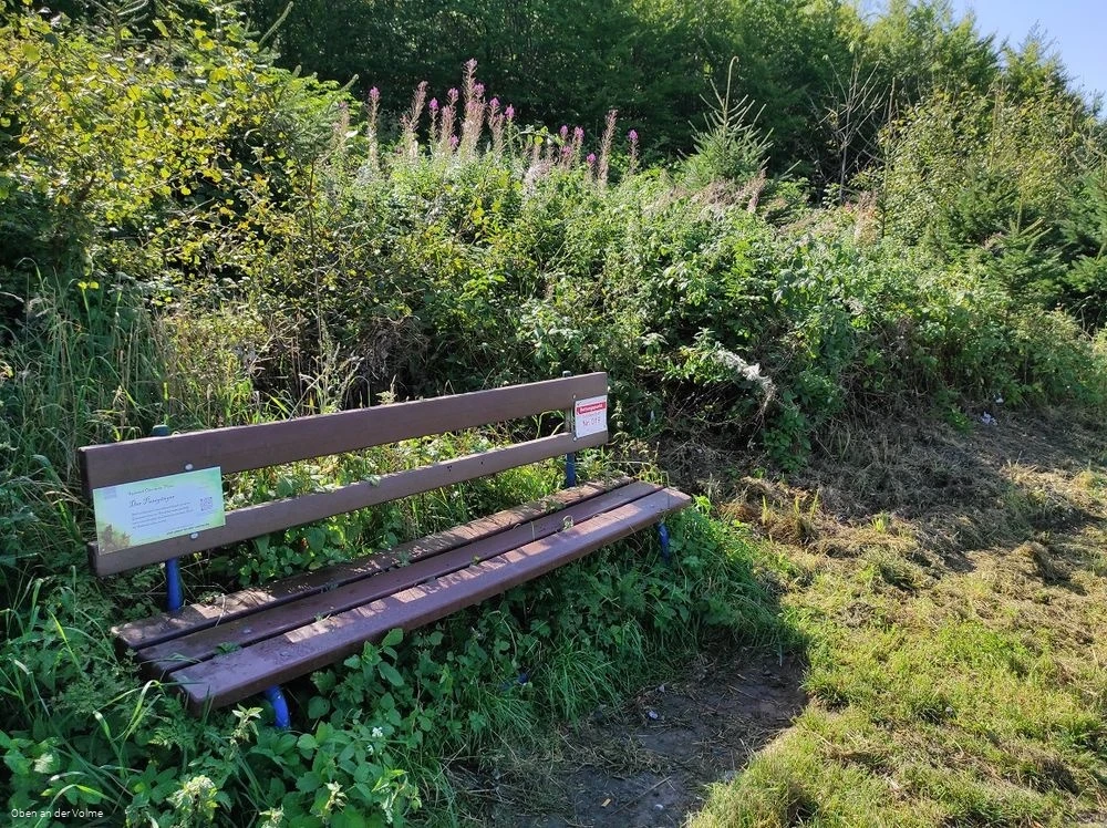 Die Bank mit der Hörspielstation Die Bank mit der Hörspielstation