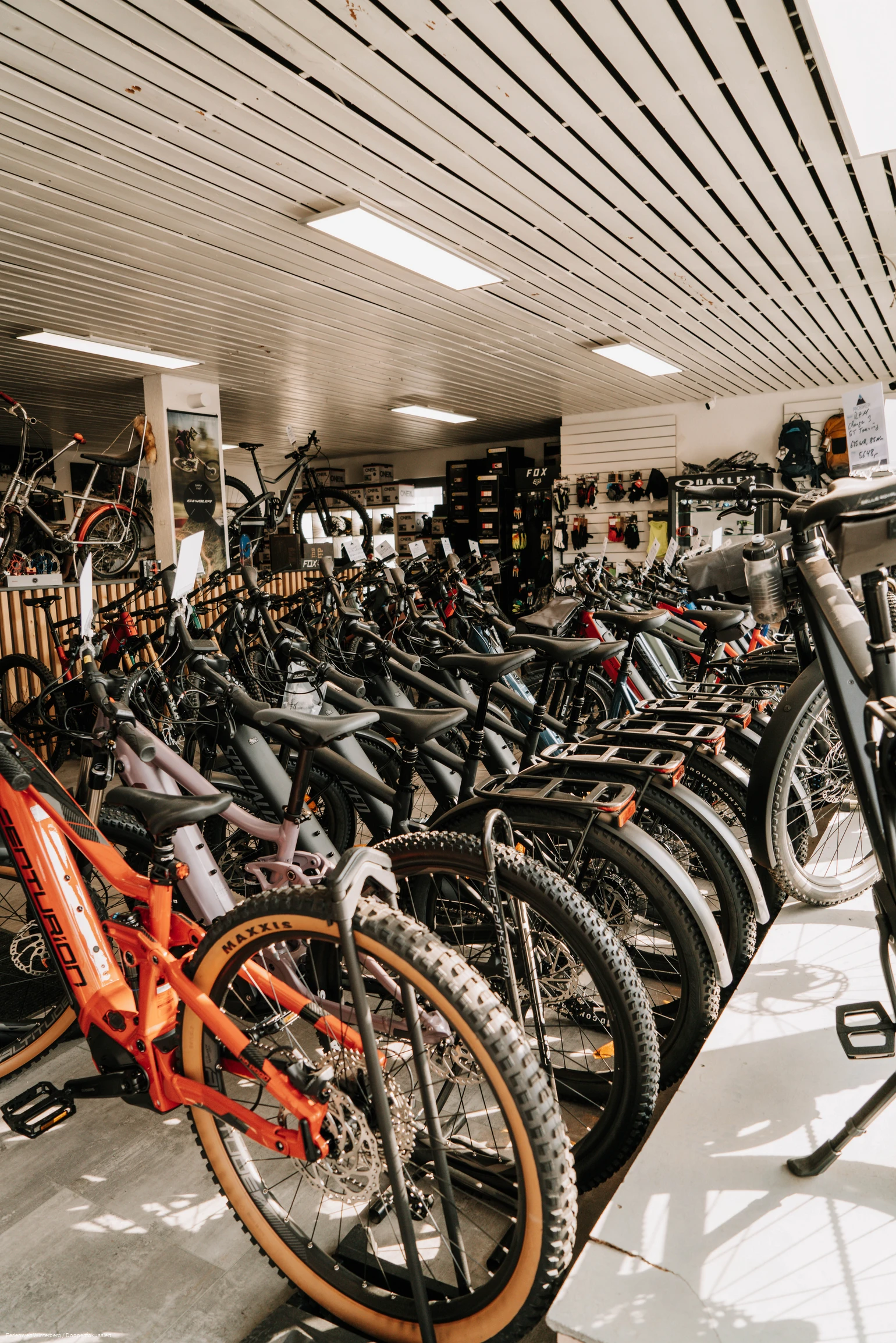 bikeverleih_doppeltfokussiert.jpg