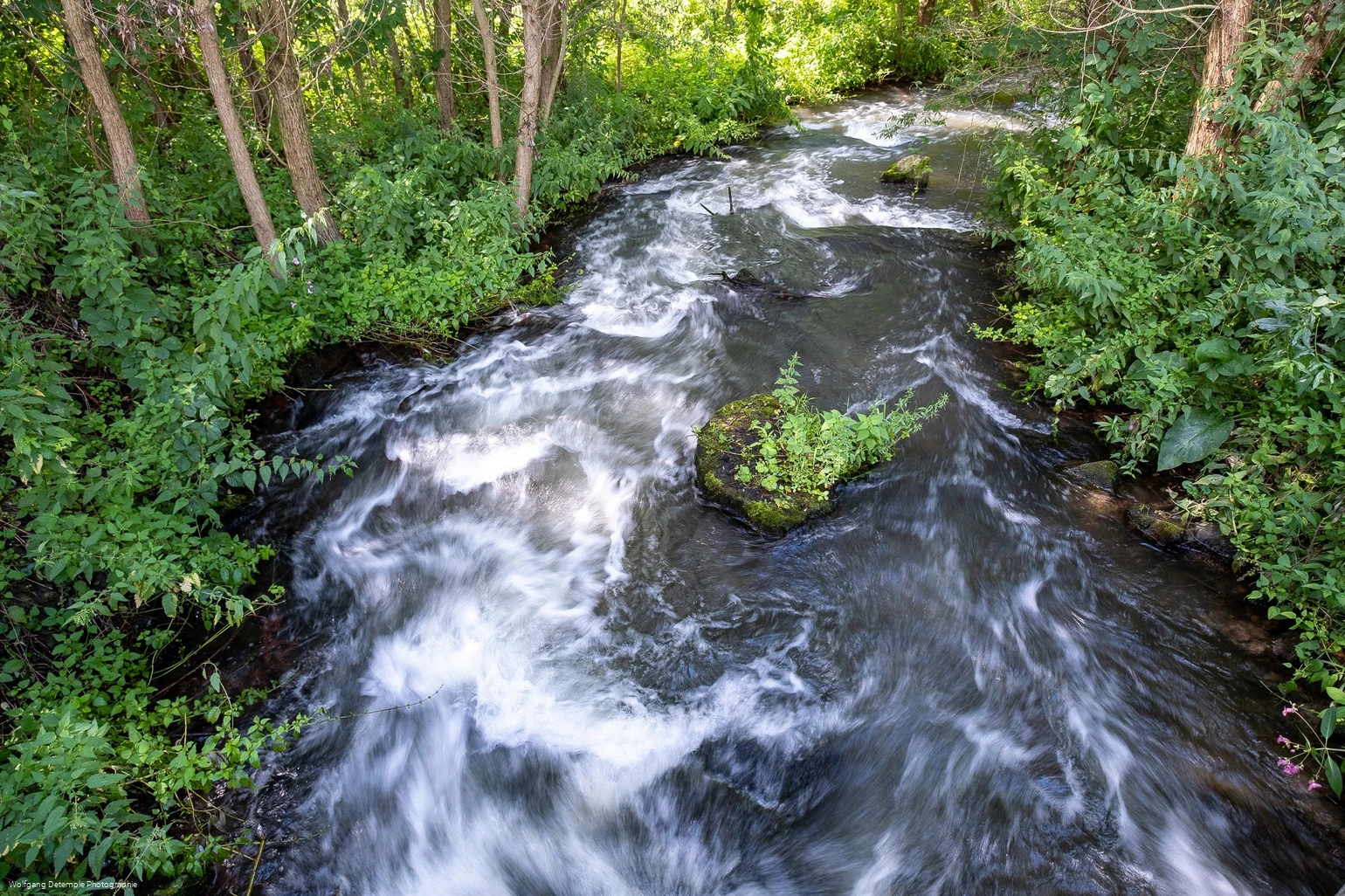 Bachlauf