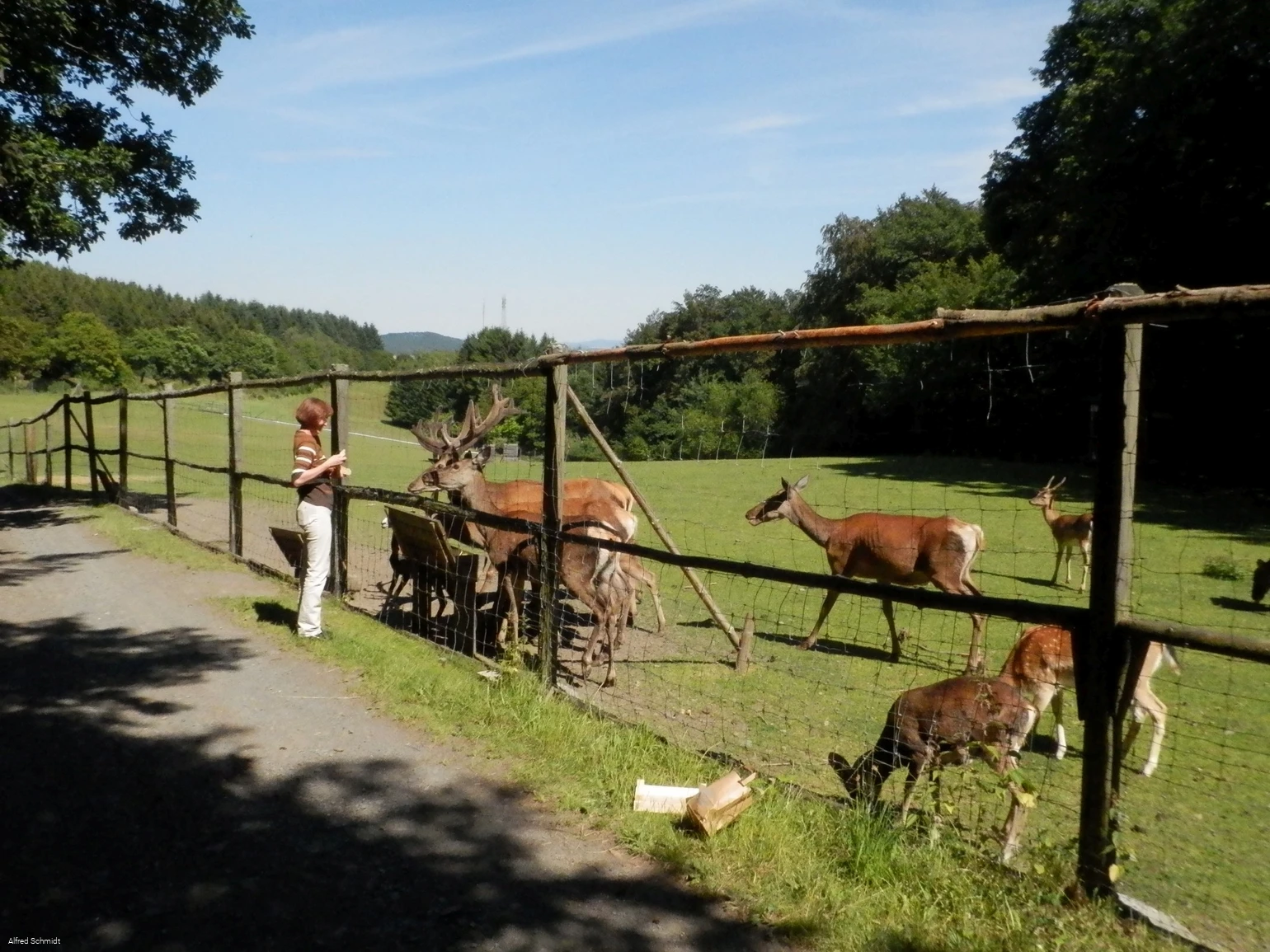Wildgehege Dodenau