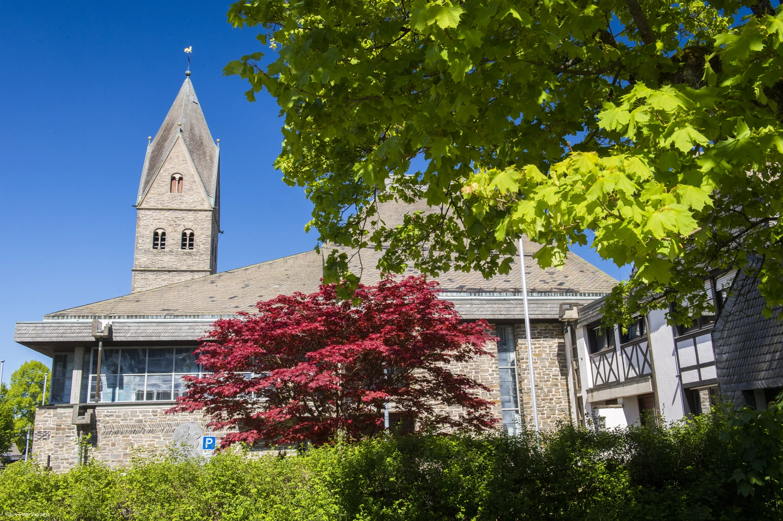 Eine Kirche vor blauem Himmel mit Bäumen im Vordergrund.
