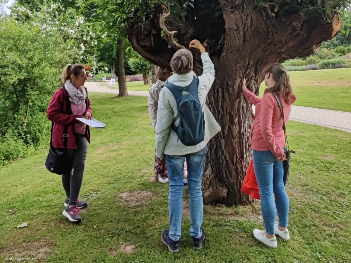 Augenblickmal-Touren in Bad Sassendorf