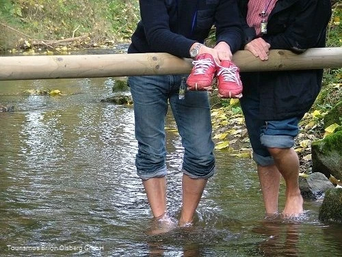 Tretstelle Gierskopp Tretstelle Gierskopp