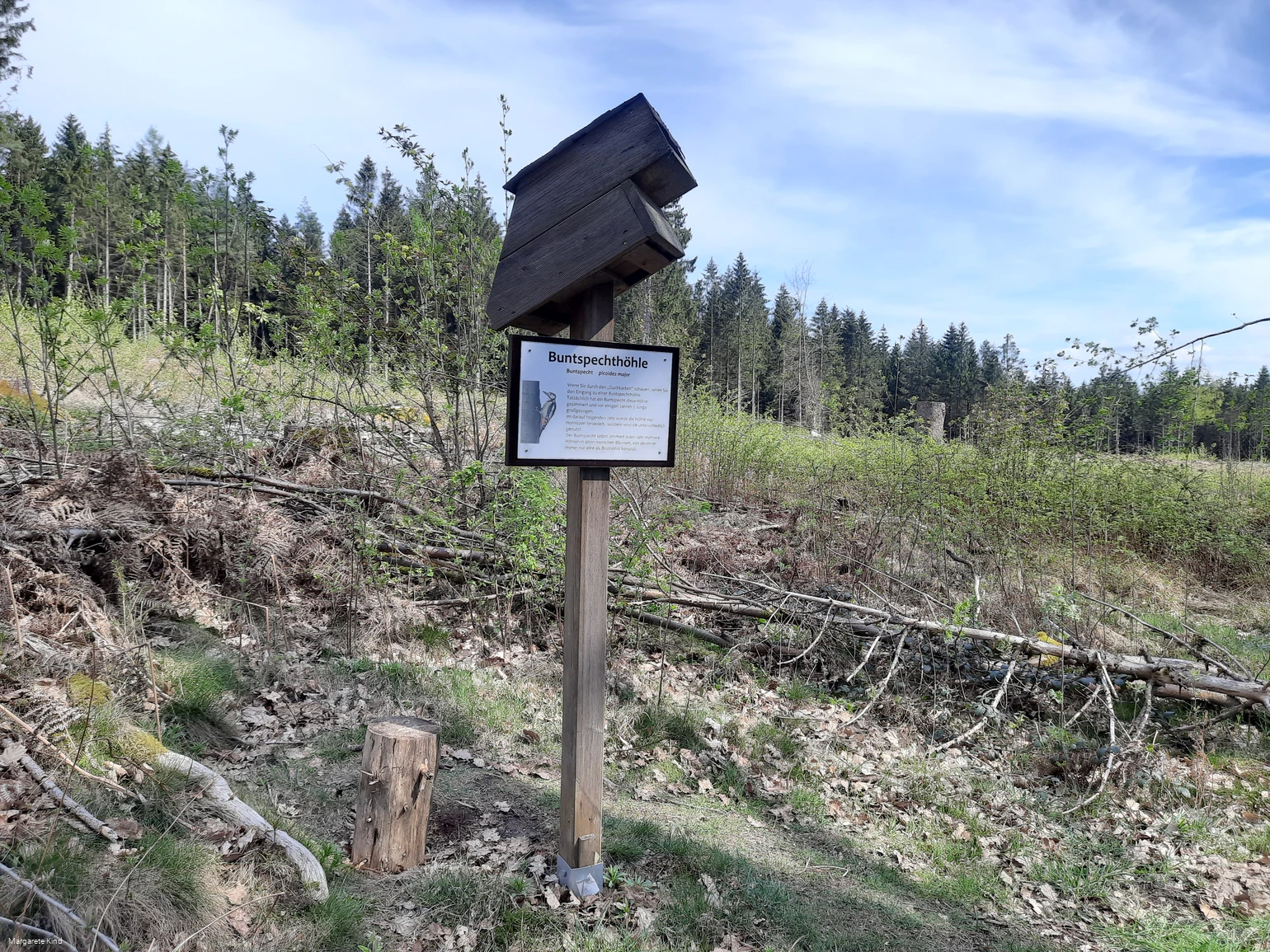 Guckkasten ©Margarete Kind.jpg