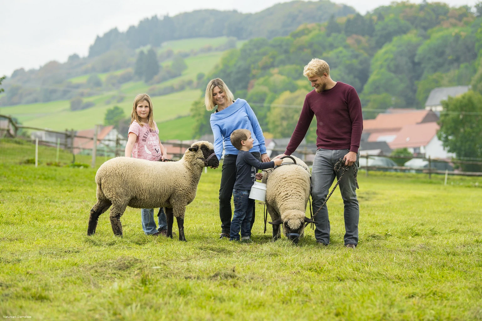 Familie mit Schafen auf dem Familienbauernhof Fass Familie mit Schafen auf dem Familienbauernhof Fass