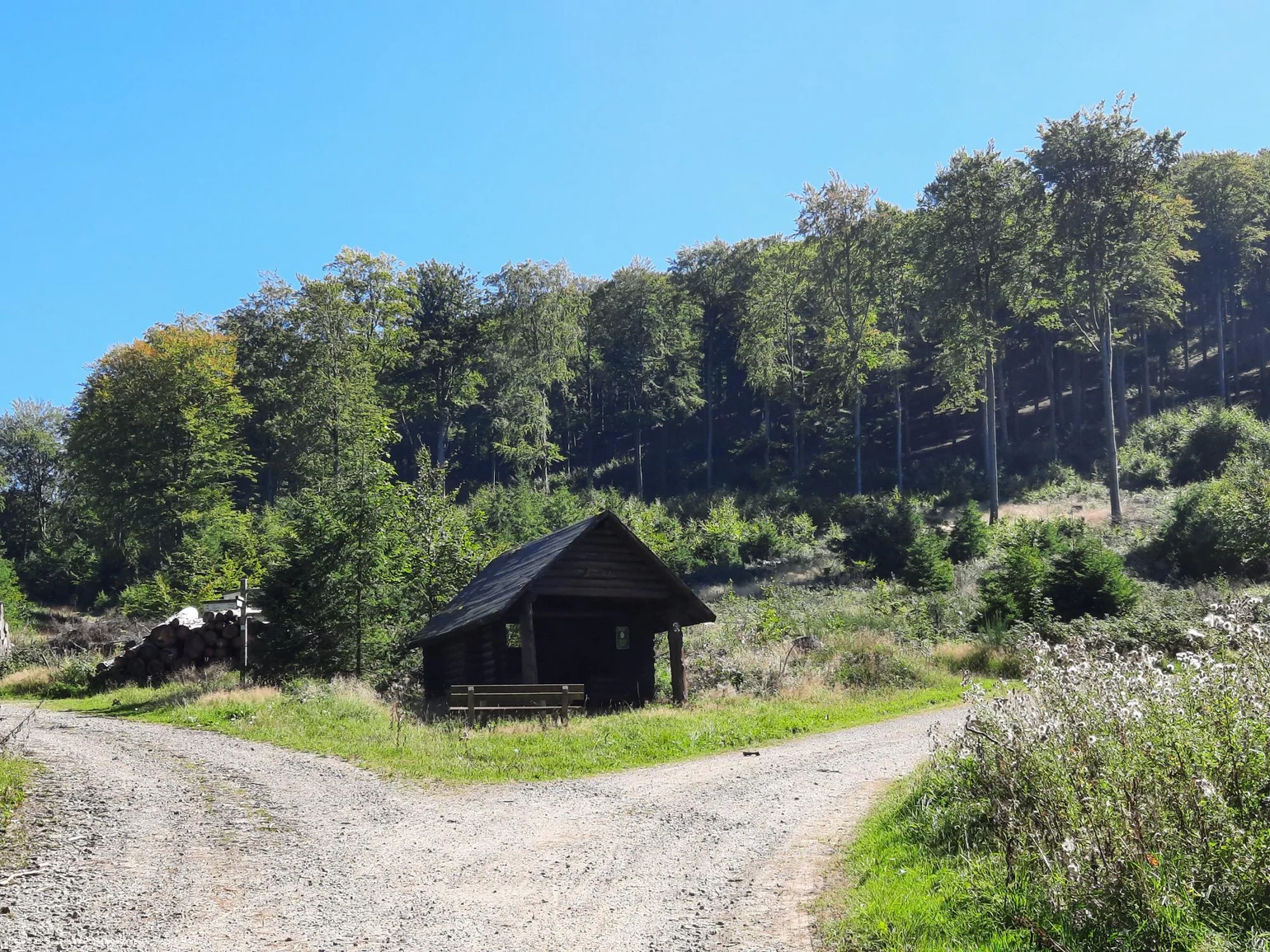 Schutzhütte Hühnerkamp (2).jpg