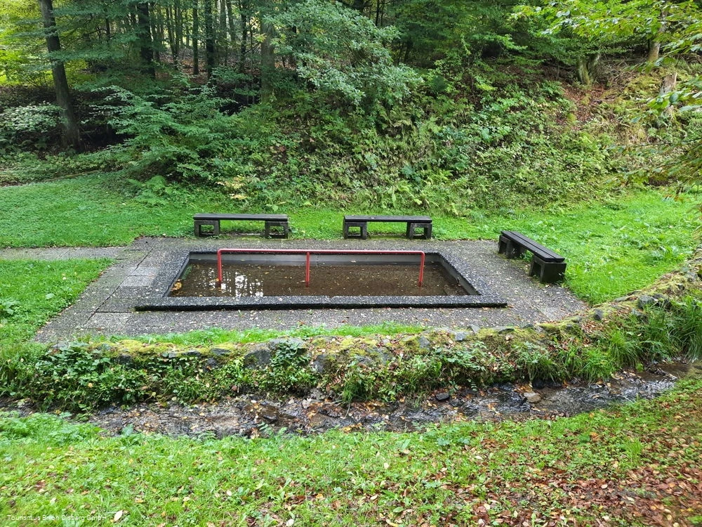 Tretbecken Wulmeringhausen