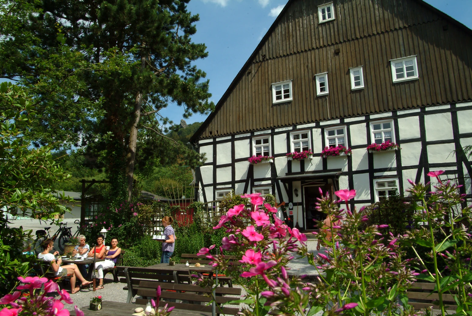 Rosenbogen 10.07.11 013.jpg Rosenbogen 10.07.11 013.jpg