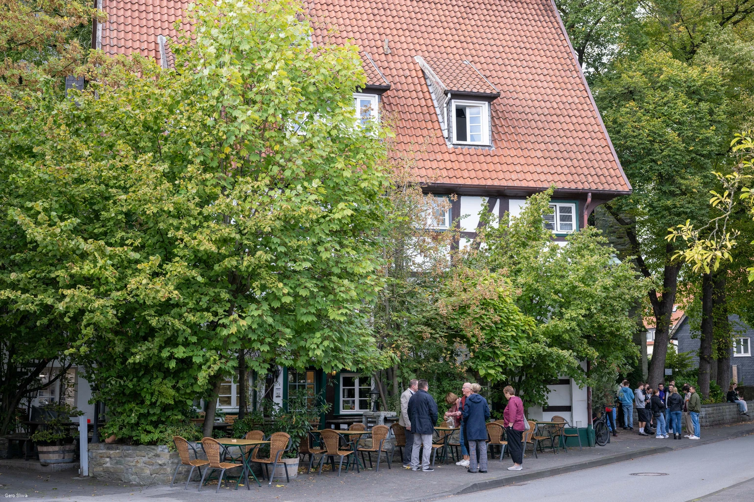 20240927_Zwiebel2.jpg 20240927_Zwiebel2.jpg