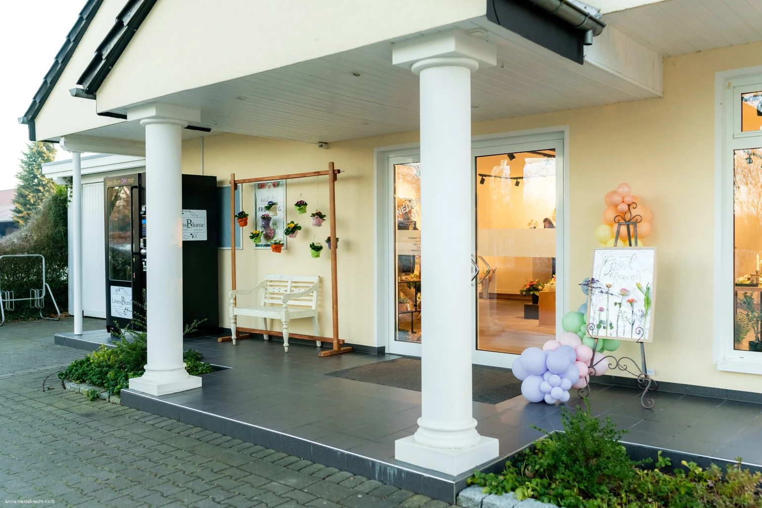 IMG-20260119-WA0012.jpg IMG-20260119-WA0012.jpg