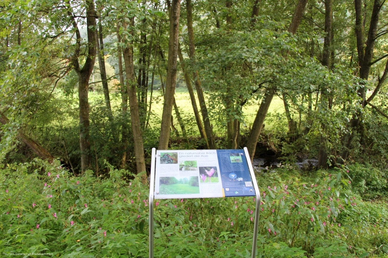 Infotafel 3 am Gewässerpfad Orke