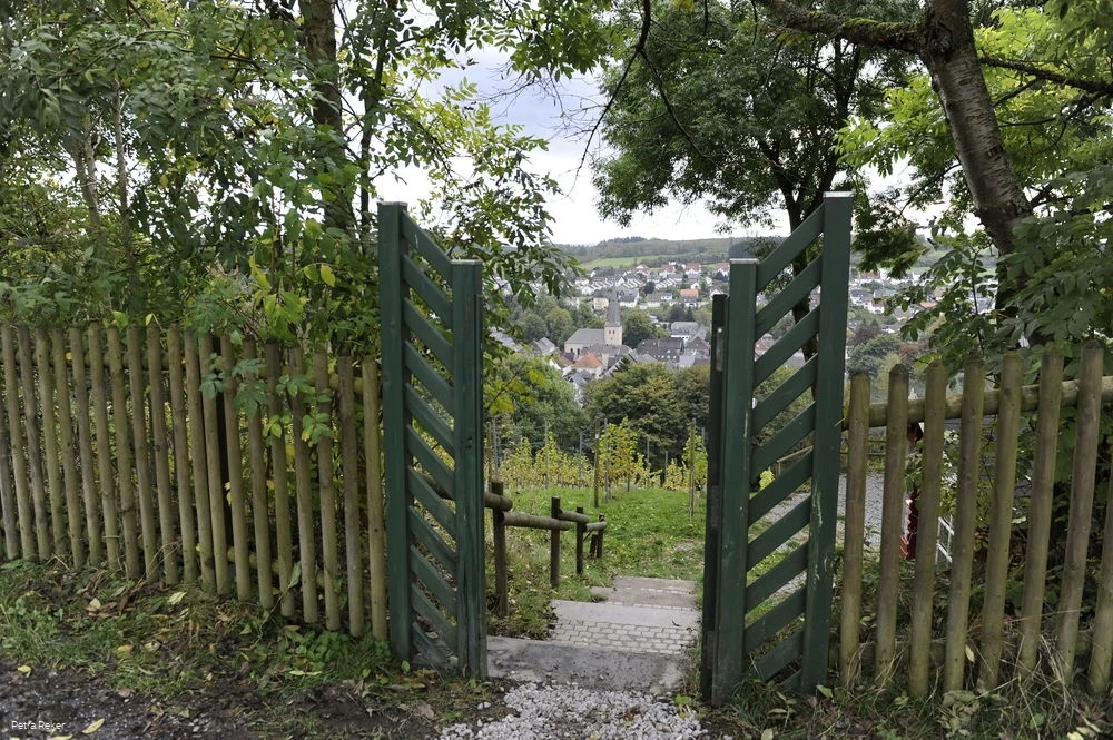 Blick auf Neuenrade durch das Tor vom Weinberg Blick auf Neuenrade durch das Tor vom Weinberg