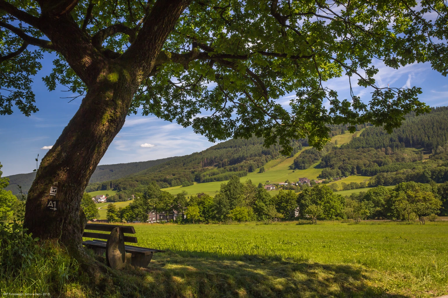 Herscheid22.jpg