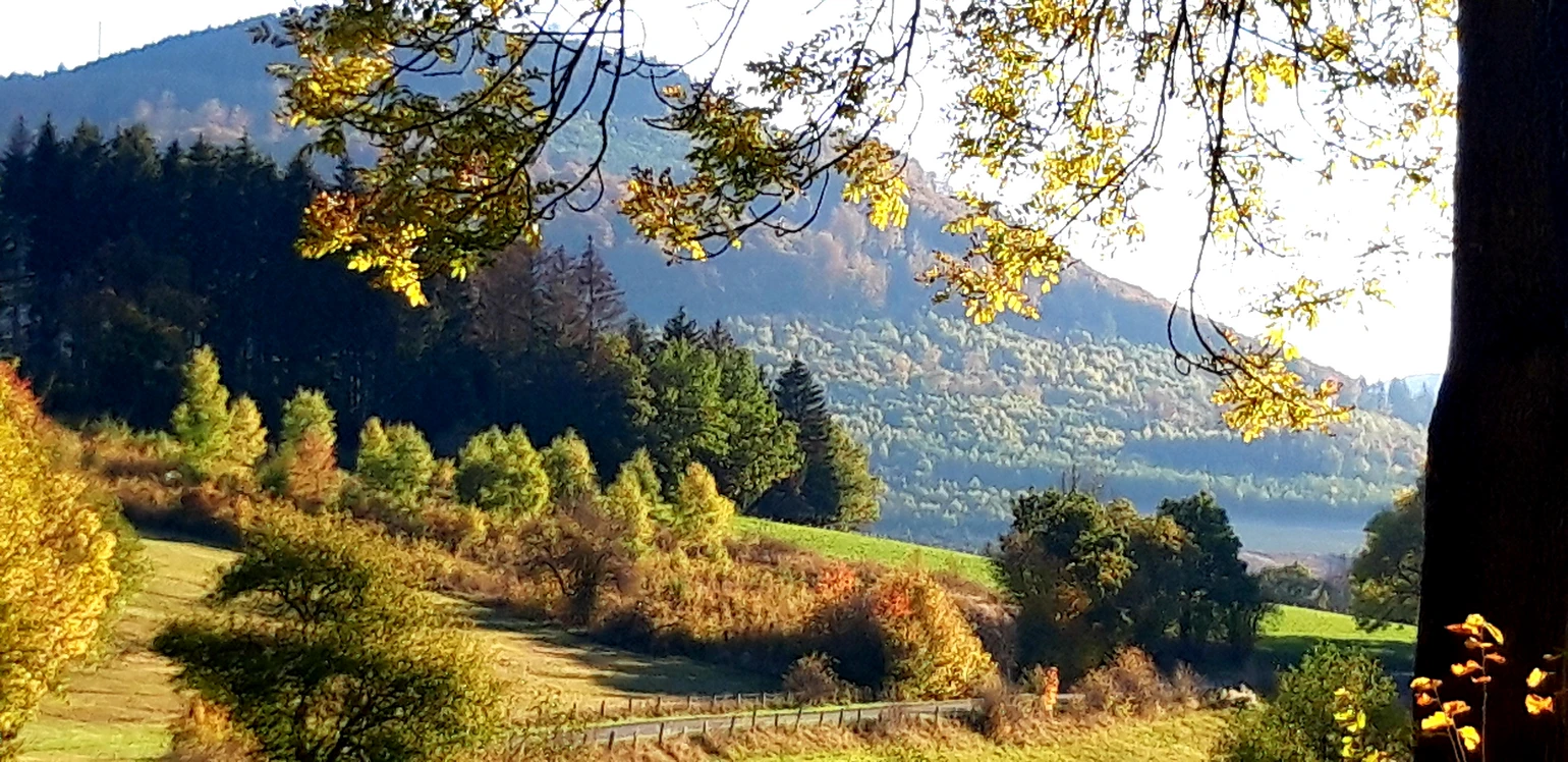 20181013_173526.jpg