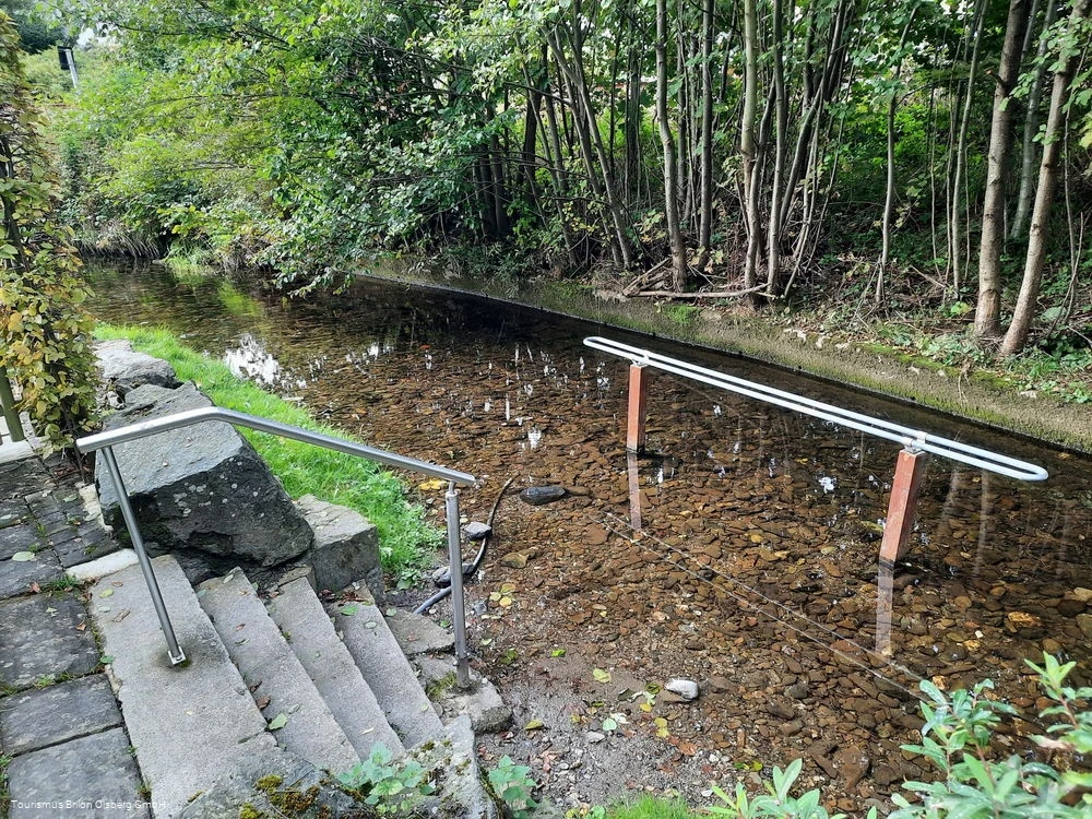 Natürliche Tretstelle Wulmeringhausen Natürliche Tretstelle Wulmeringhausen