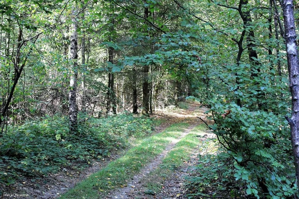 Deutlich ist historische Straße noch zu erkennen