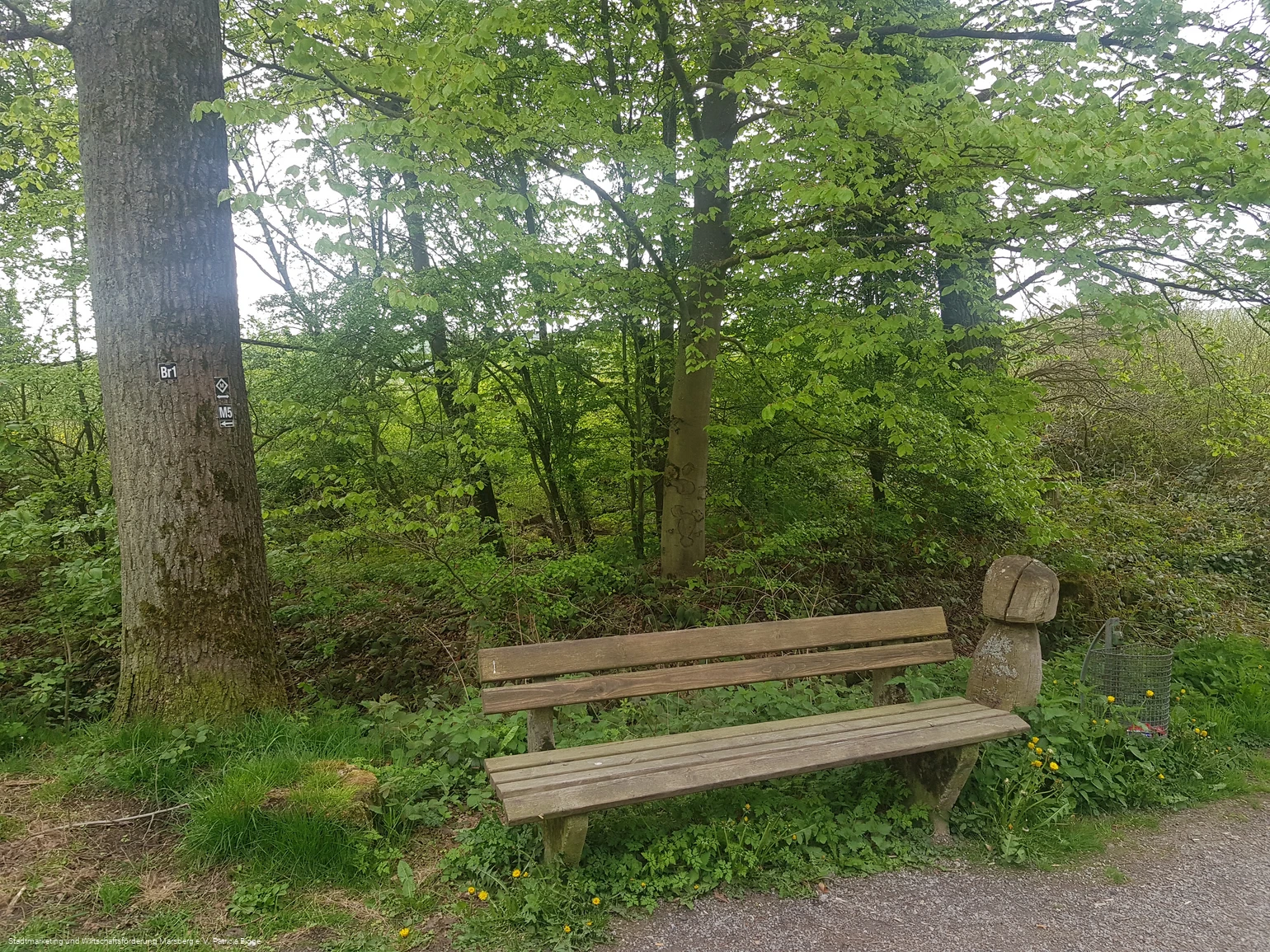 Bredelar, Naturschutzgebiet Forst Bredelar