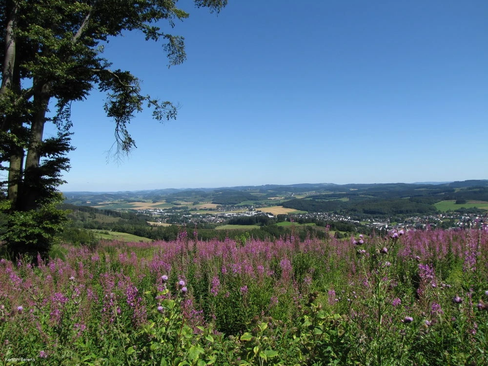 Blick auf Neuenrade Blick auf Neuenrade