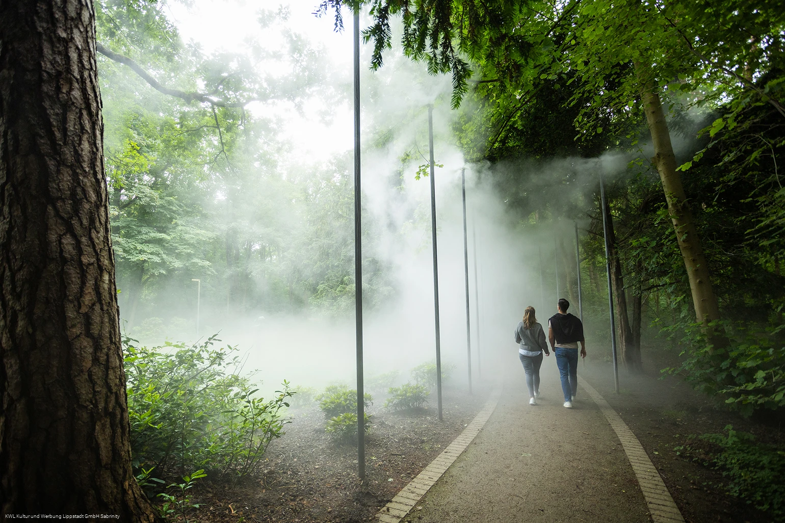 Nebelweg Bad Waldliesborn