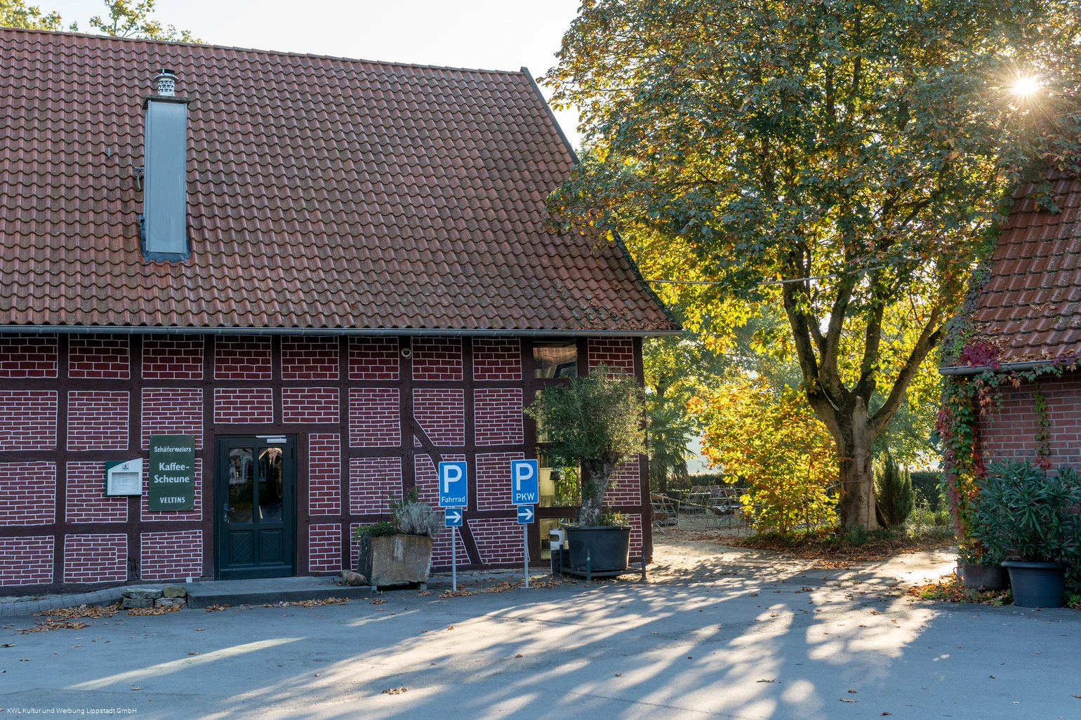 campingparadies-lippstaedter-seenplatte-detail-1.jpg campingparadies-lippstaedter-seenplatte-detail-1.jpg